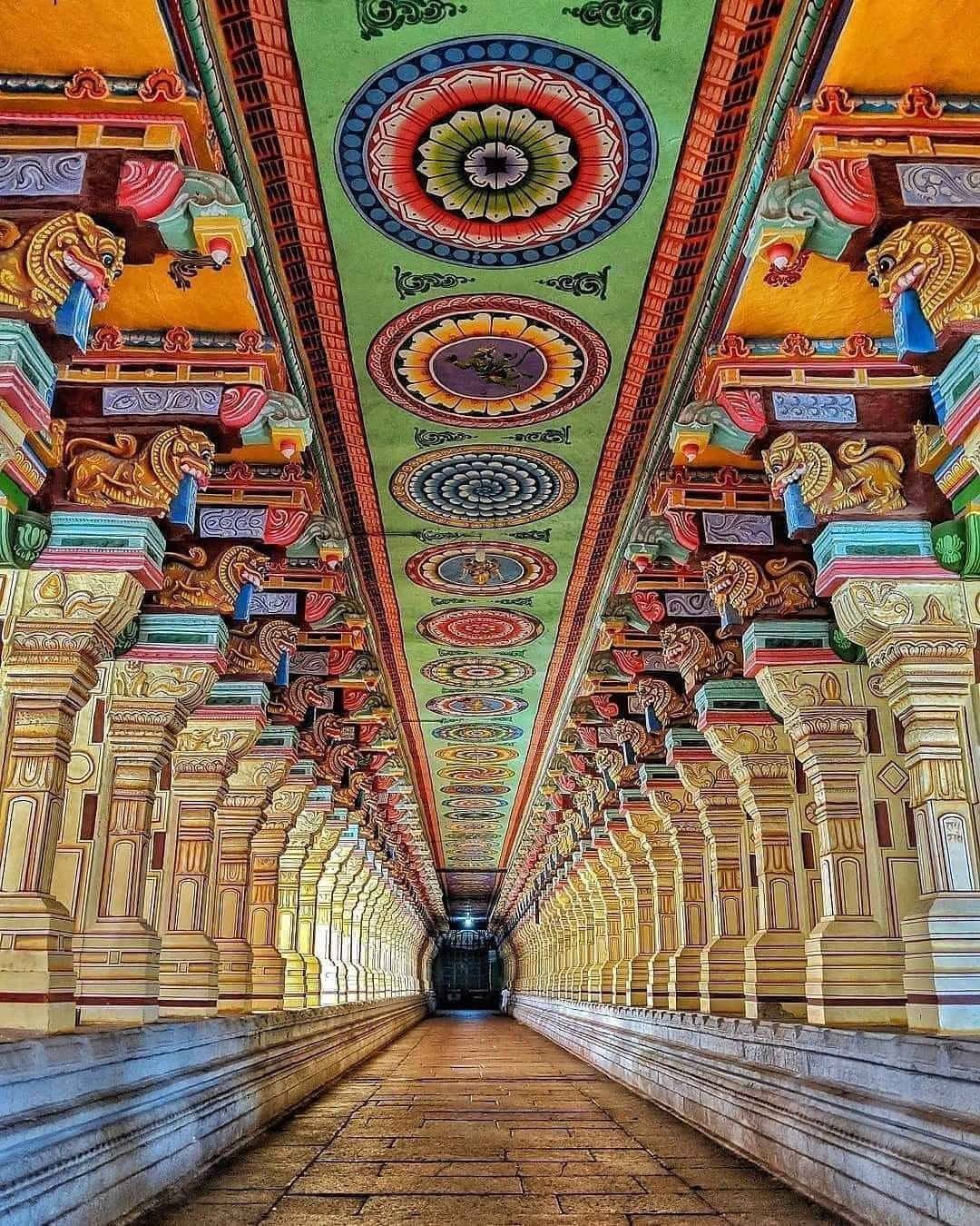 South India Temple Tour Black